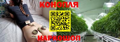 шишки Можга