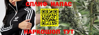 прущие грибы Можайск