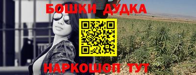 прущие грибы Можайск