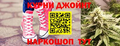 прущие грибы Можайск