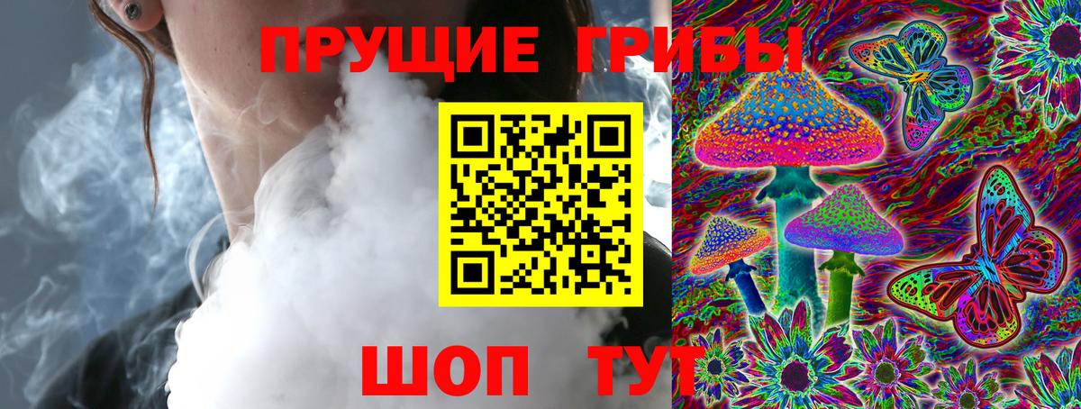 Псилоцибиновые грибы MAGIC MUSHROOMS  Вход с VPN  Чебаркуль 